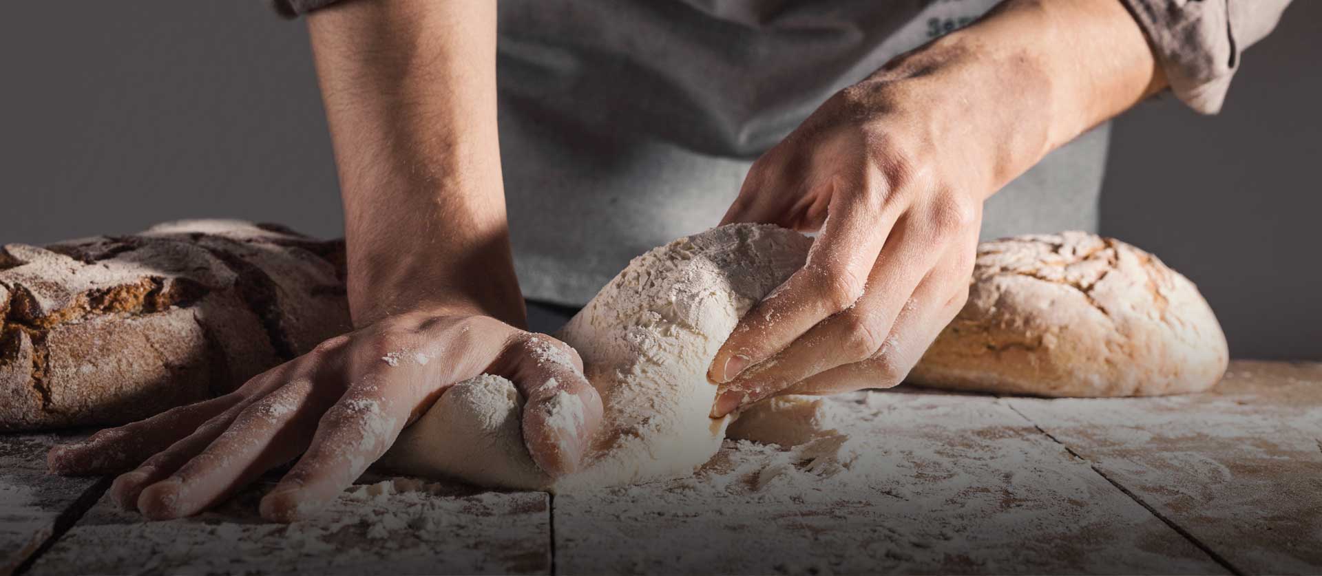 SalvaNorte Hornos y maquinaria para panadería